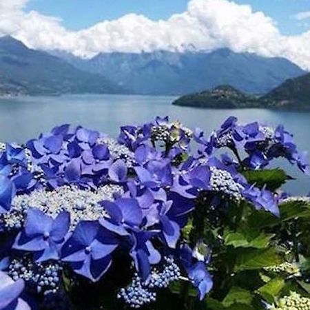 Agriturismo Piccolo Paradiso Pianello Del Lario Buitenkant foto