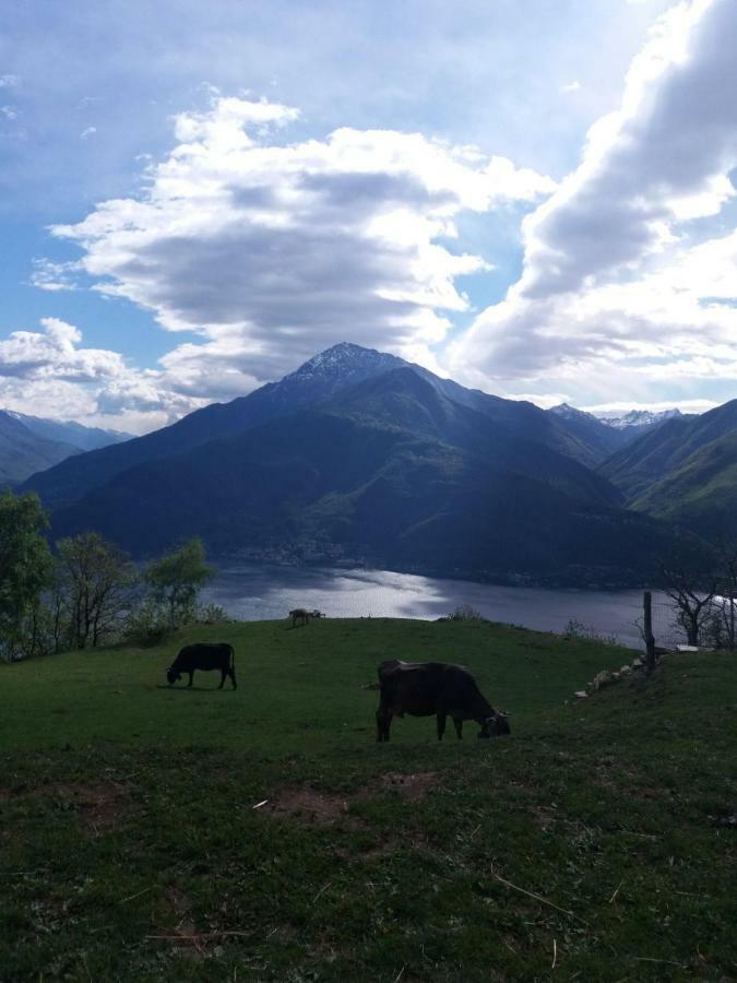 Agriturismo Piccolo Paradiso Pianello Del Lario Buitenkant foto