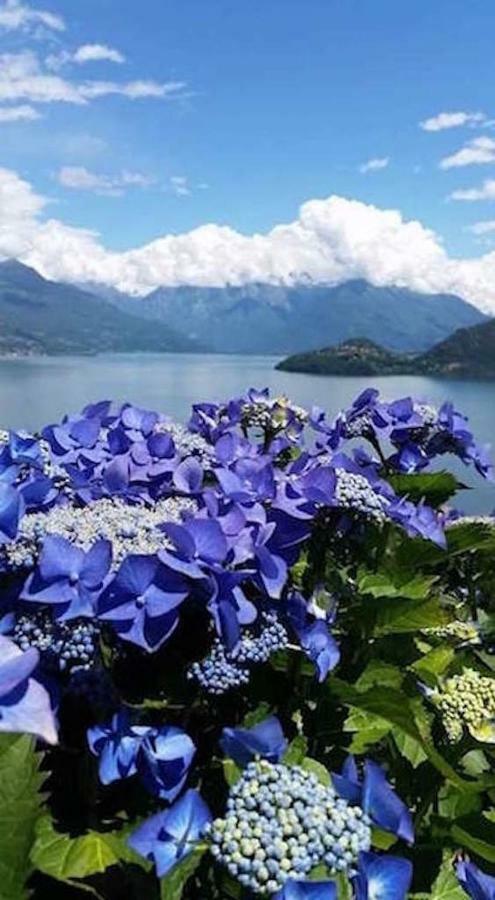 Agriturismo Piccolo Paradiso Pianello Del Lario Buitenkant foto