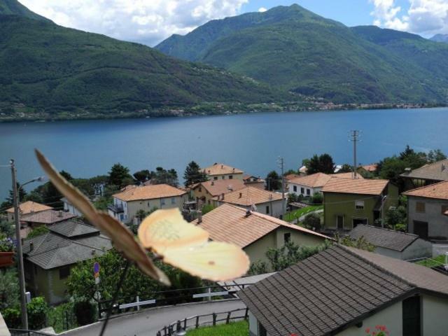 Agriturismo Piccolo Paradiso Pianello Del Lario Buitenkant foto