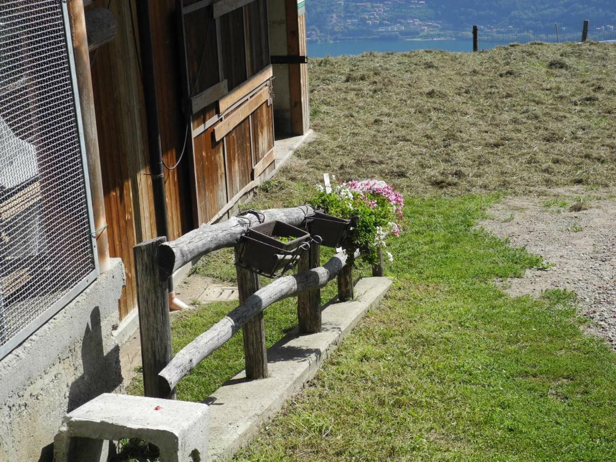 Agriturismo Piccolo Paradiso Pianello Del Lario Buitenkant foto