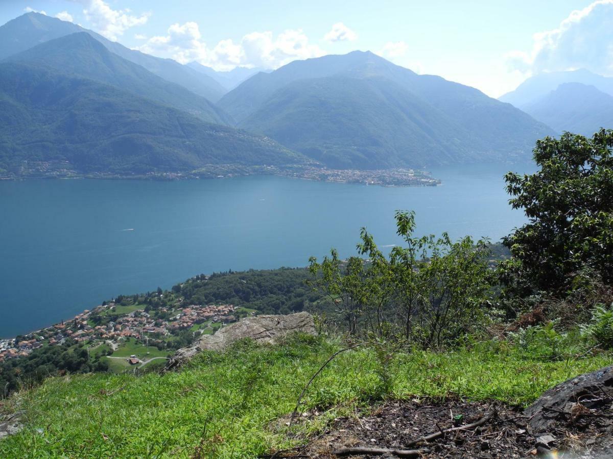 Agriturismo Piccolo Paradiso Pianello Del Lario Buitenkant foto