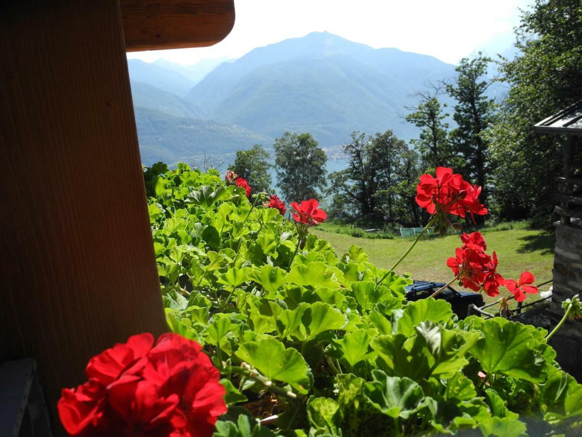 Agriturismo Piccolo Paradiso Pianello Del Lario Buitenkant foto