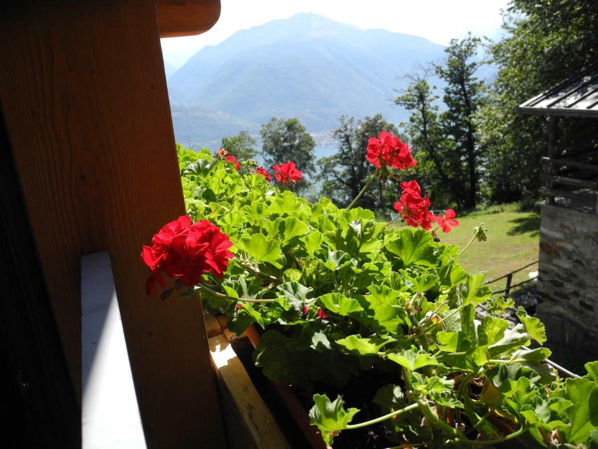 Agriturismo Piccolo Paradiso Pianello Del Lario Buitenkant foto