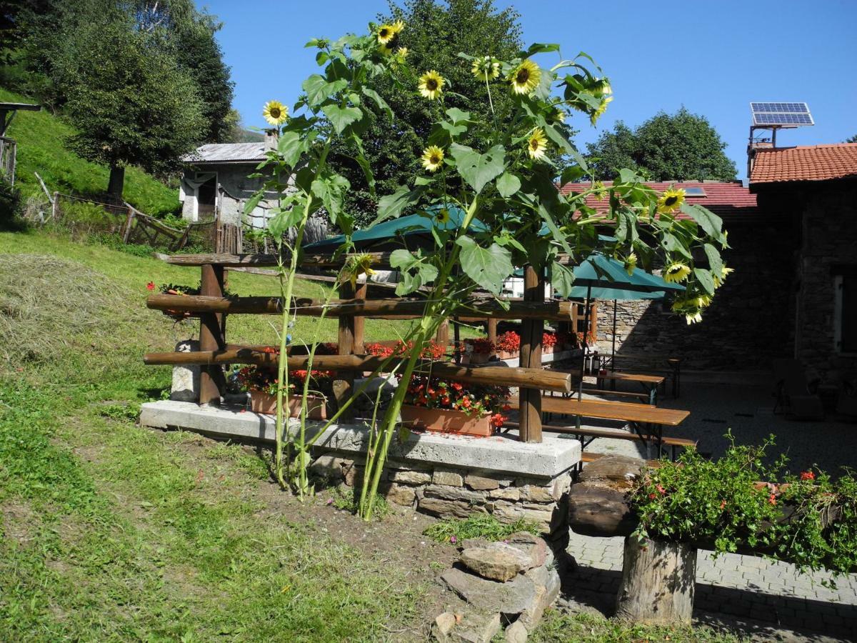 Agriturismo Piccolo Paradiso Pianello Del Lario Buitenkant foto